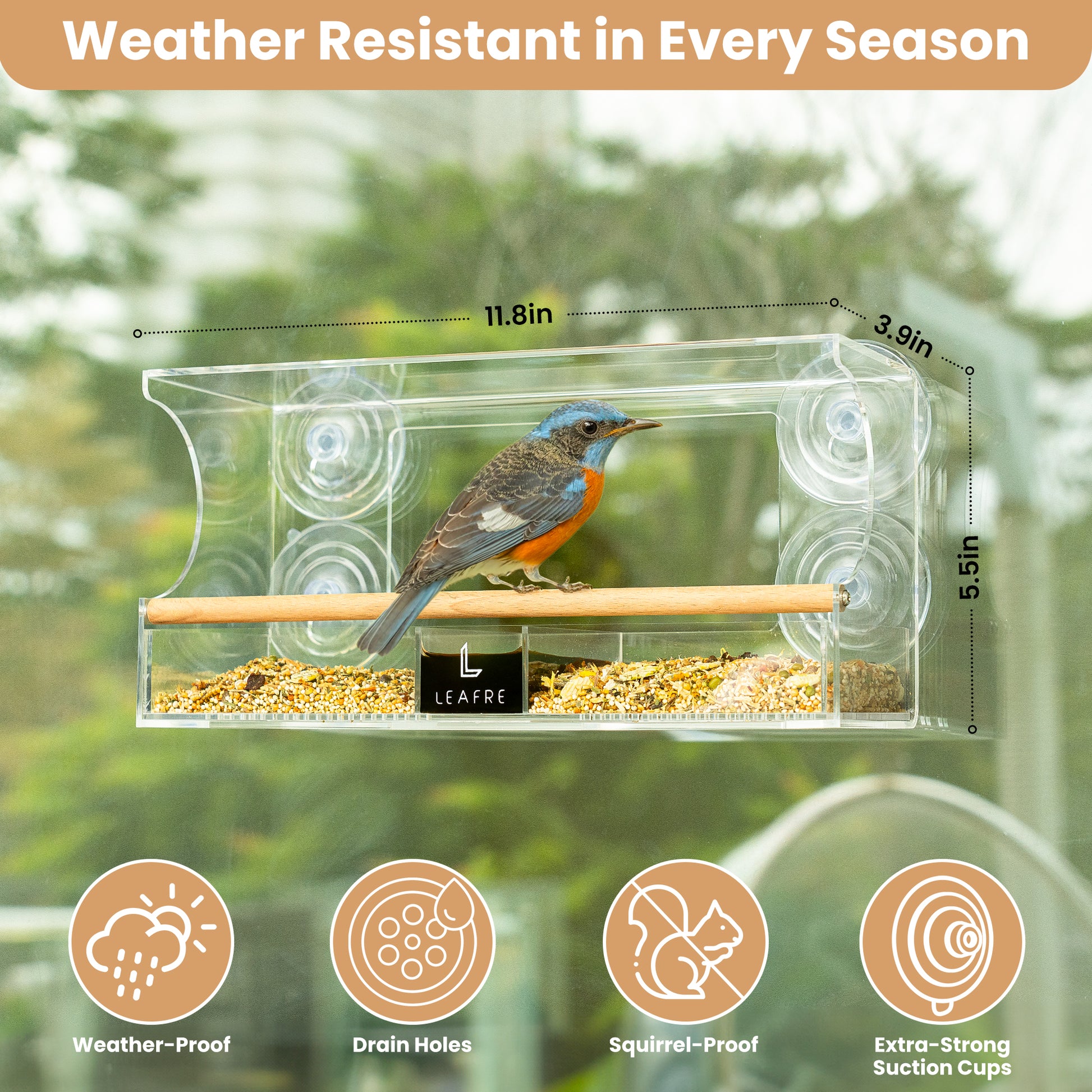 Clear Acrylic Window Bird Feeder - 3 in 1 Seeds, Nectar & Water | Removable Tray - Leafre