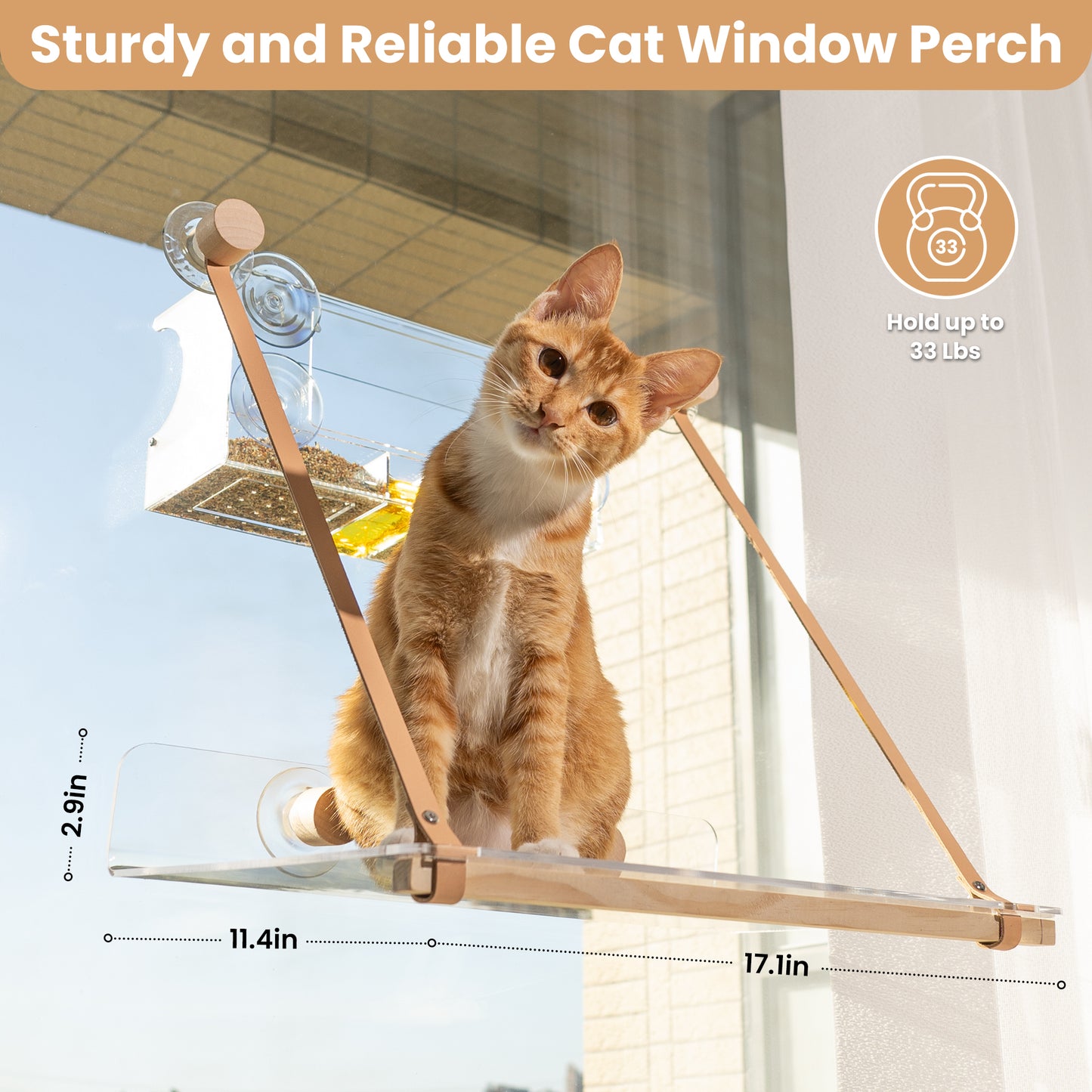 Clear Acrylic Cat & Bird Window Set - Modern Style Cat Accessories & Gifts - Leafre