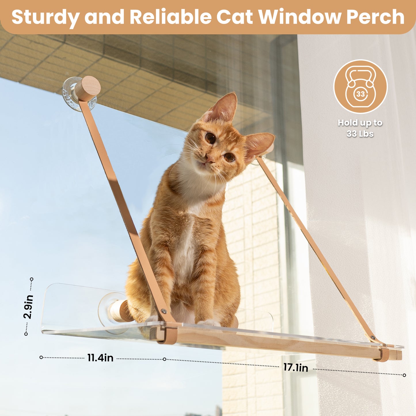 Clear Acrylic Cat Window Perch - Modern Style Cat Accessories & Gifts - Leafre